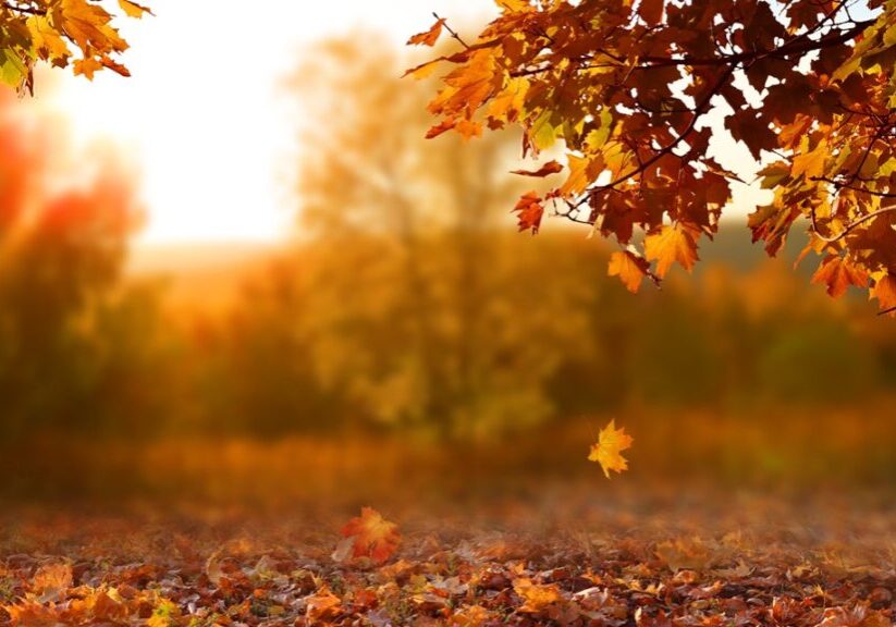 c1adf01e-1db8-439b-bdc3-891934f4d383_1140x641